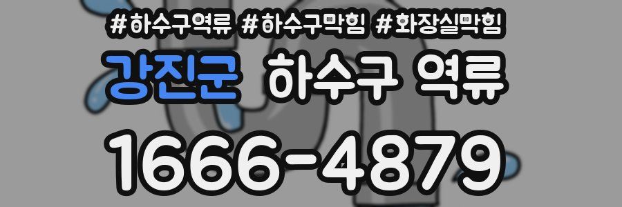 강진군 하수구 역류