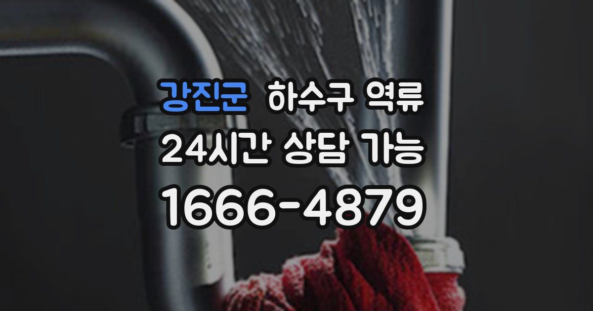 강진군 하수구 역류