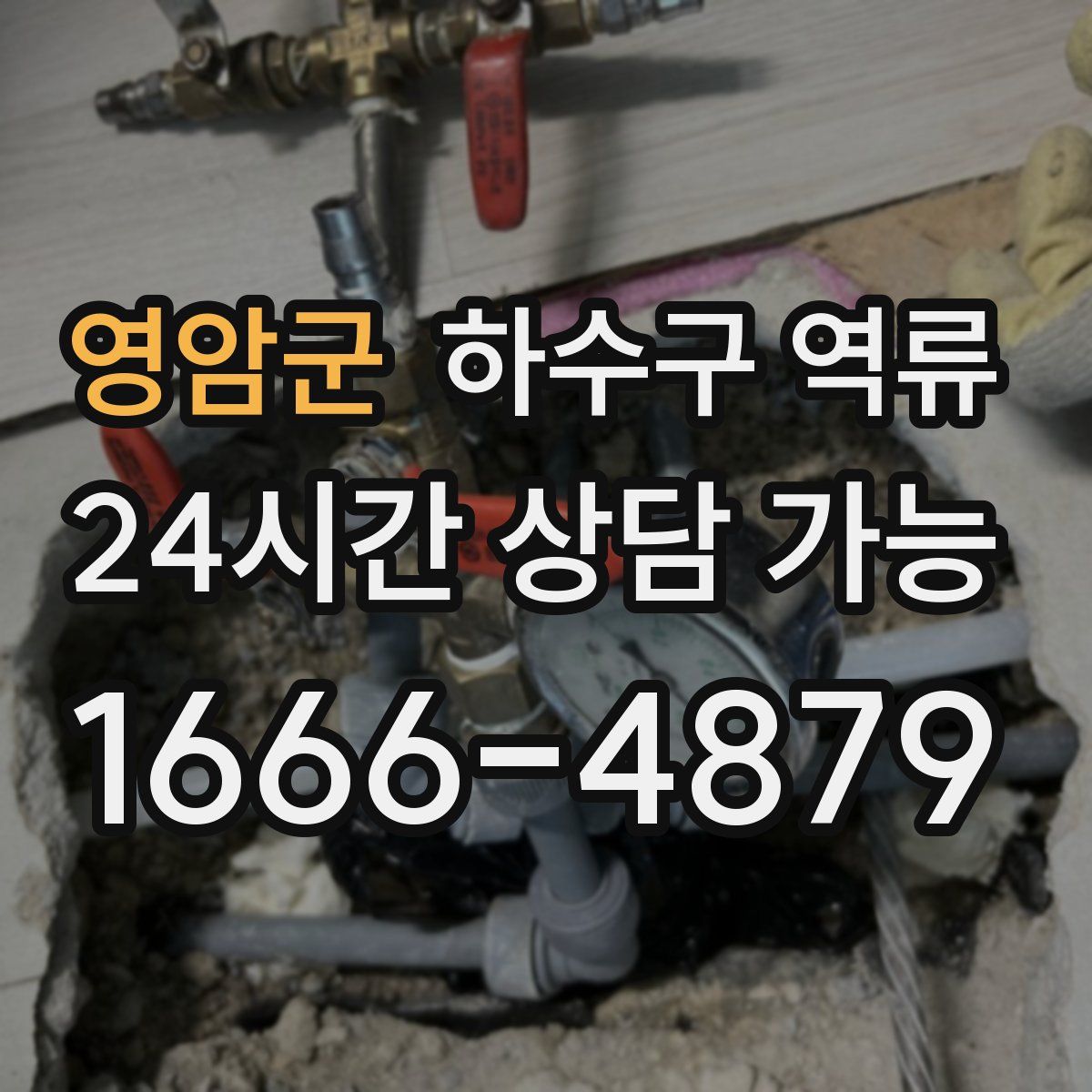 영암군 하수구 역류