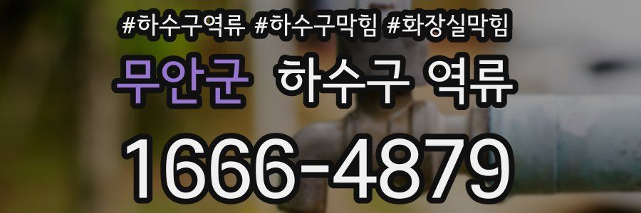 무안군 하수구 역류