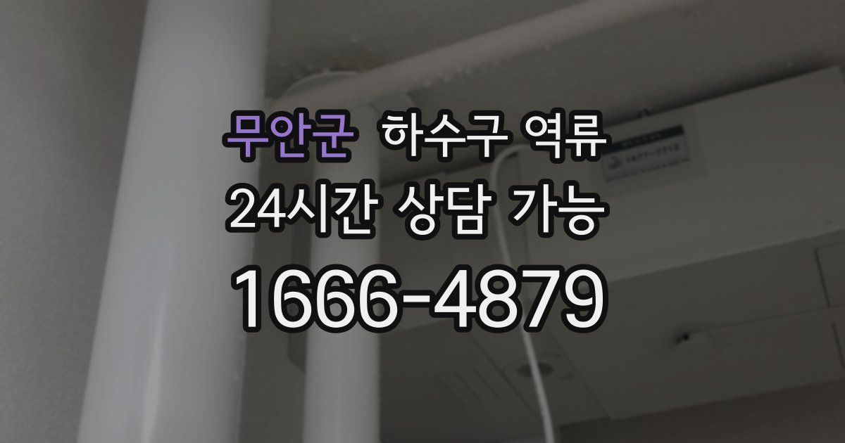 무안군 하수구 역류