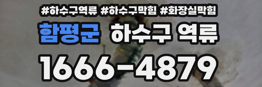 함평군 하수구 역류