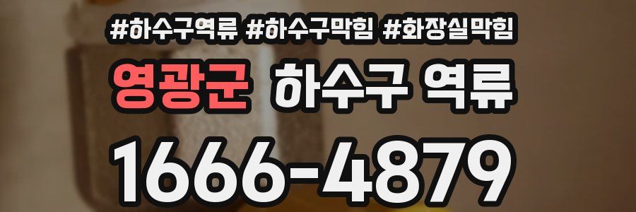 영광군 하수구 역류