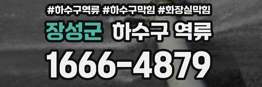 장성군 하수구 역류