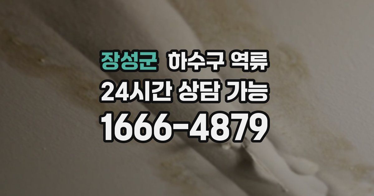 장성군 하수구 역류