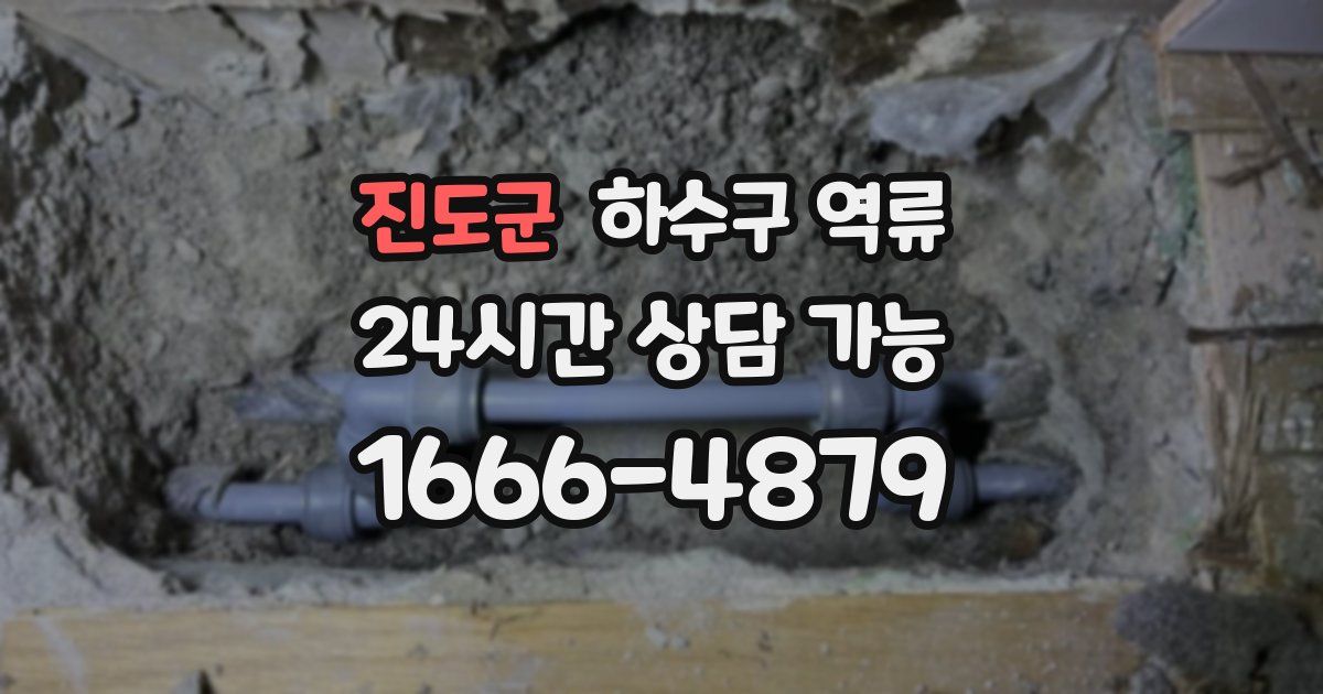 진도군 하수구 역류