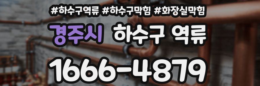 경주시 하수구 역류