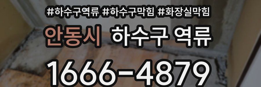 안동시 하수구 역류