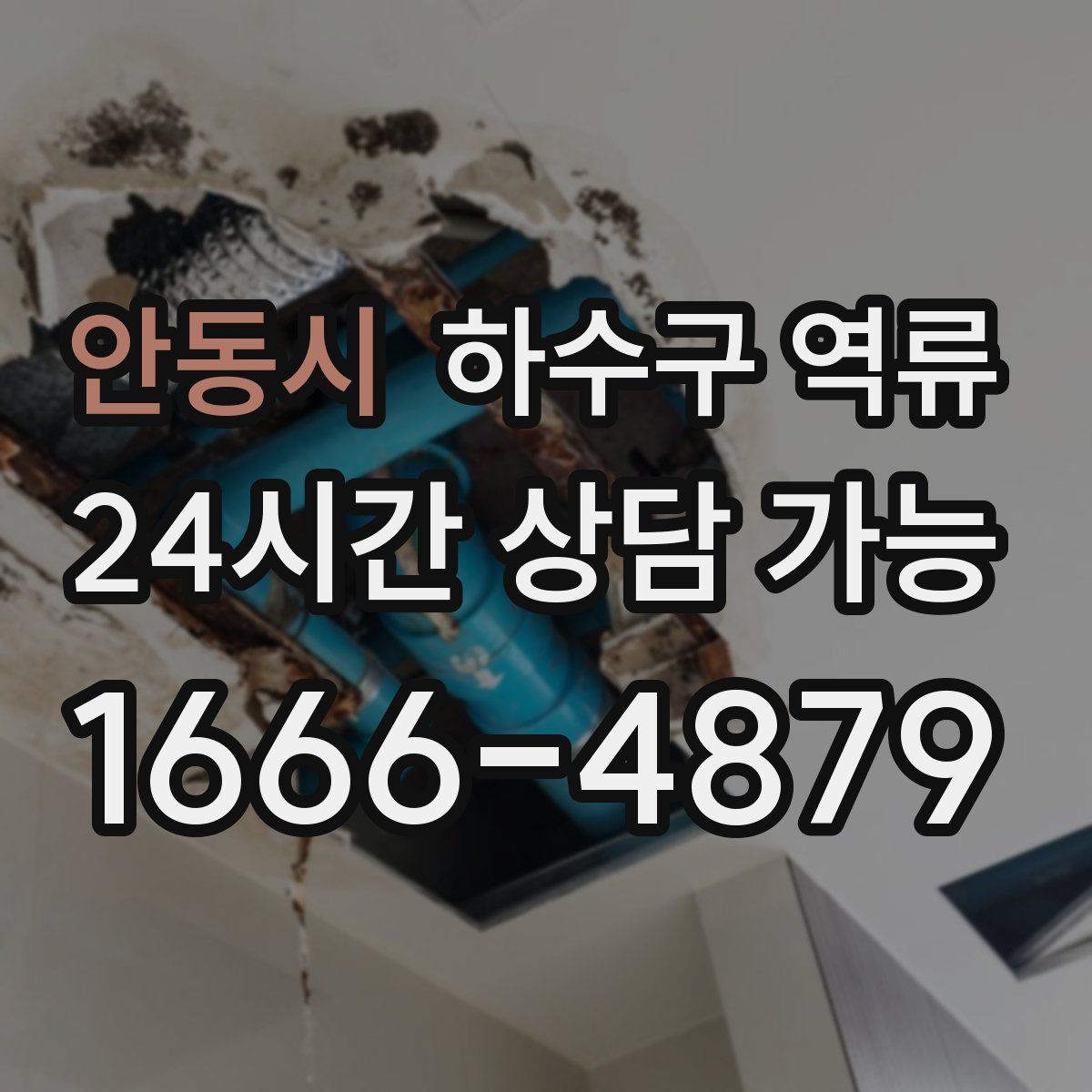 안동시 하수구 역류