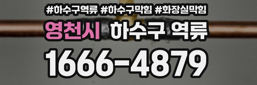 영천시 하수구 역류