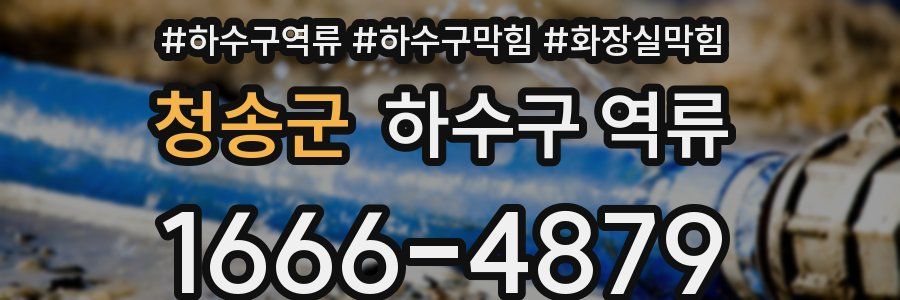 청송군 하수구 역류