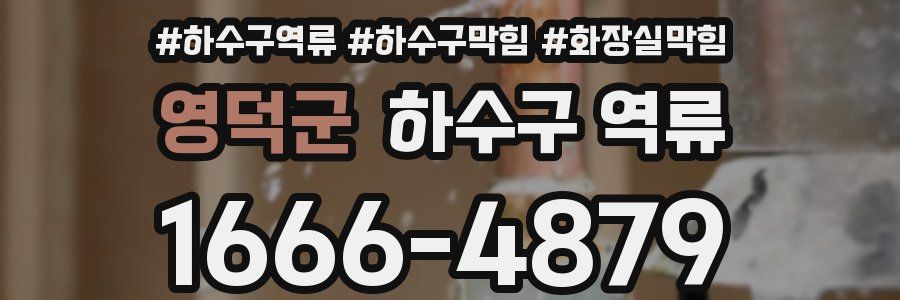 영덕군 하수구 역류