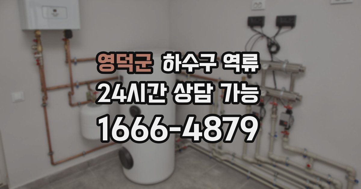 영덕군 하수구 역류