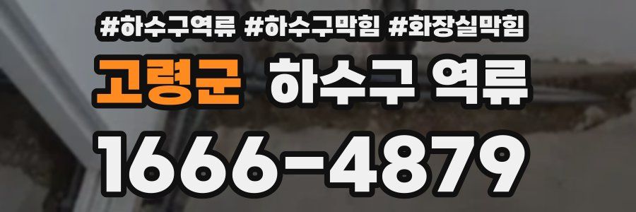 고령군 하수구 역류