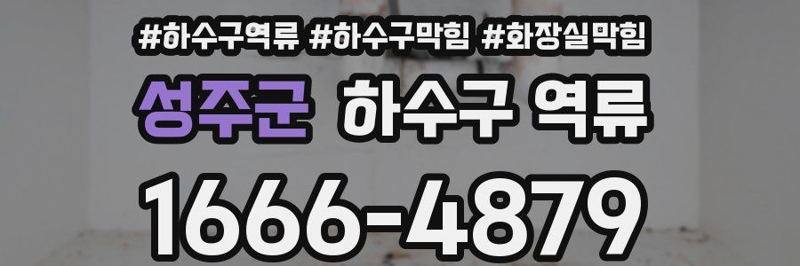 성주군 하수구 역류