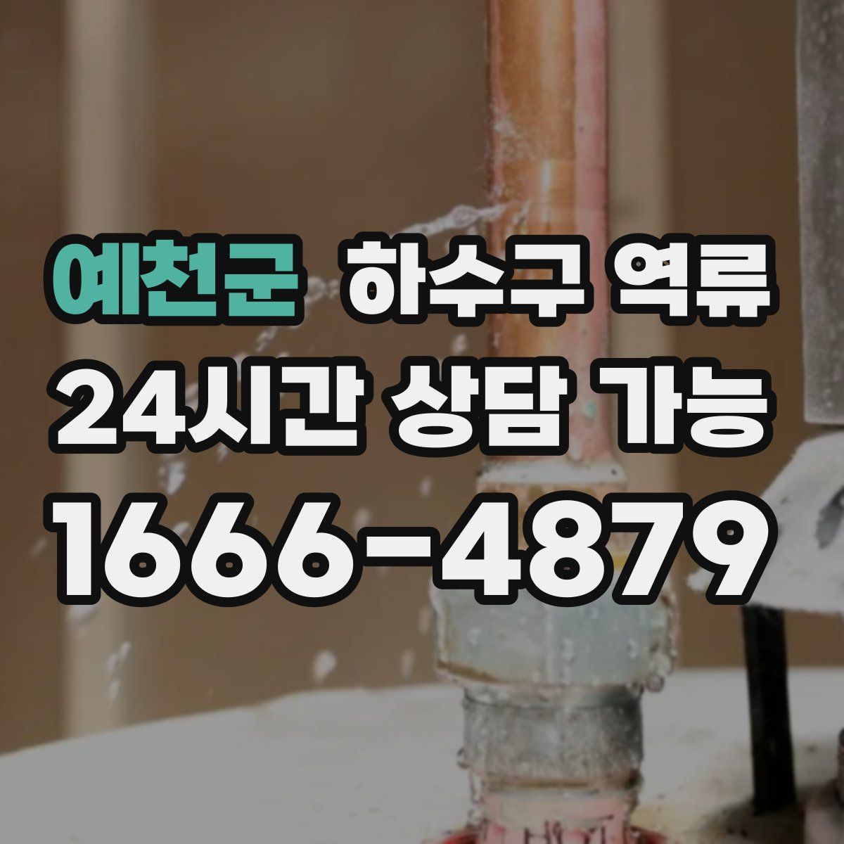 예천군 하수구 역류