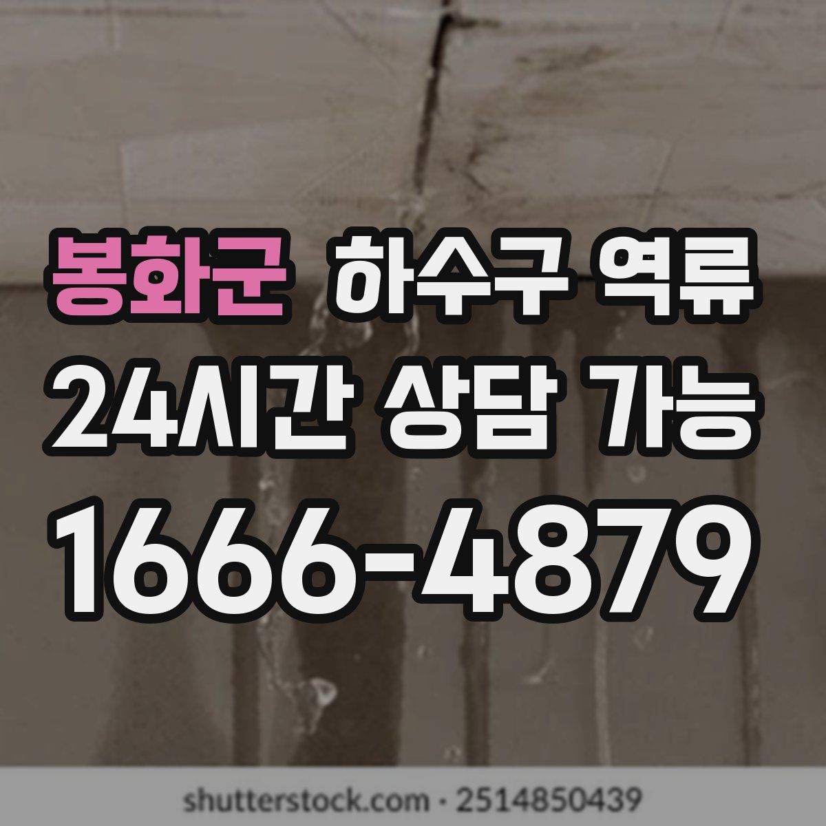 봉화군 하수구 역류