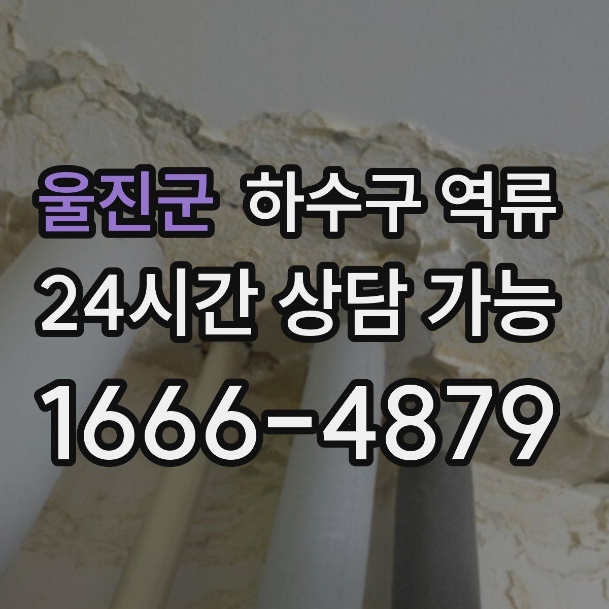 울진군 하수구 역류