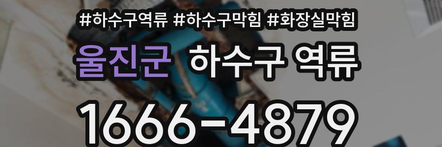 울진군 하수구 역류