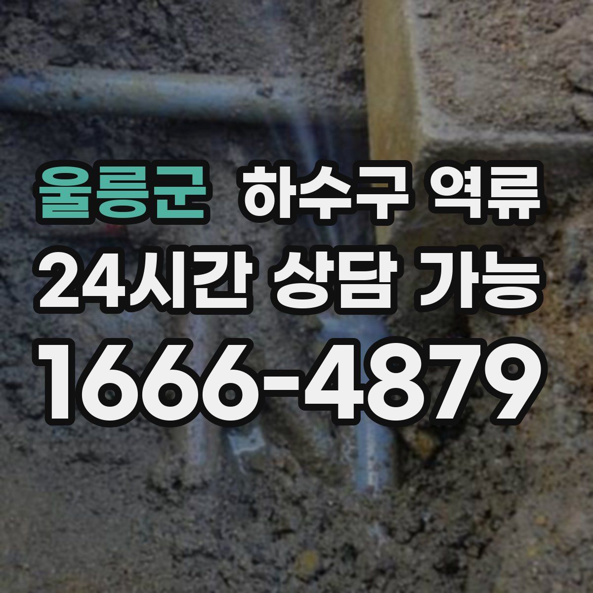 울릉군 하수구 역류