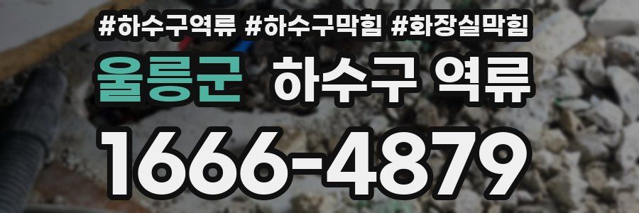 울릉군 하수구 역류