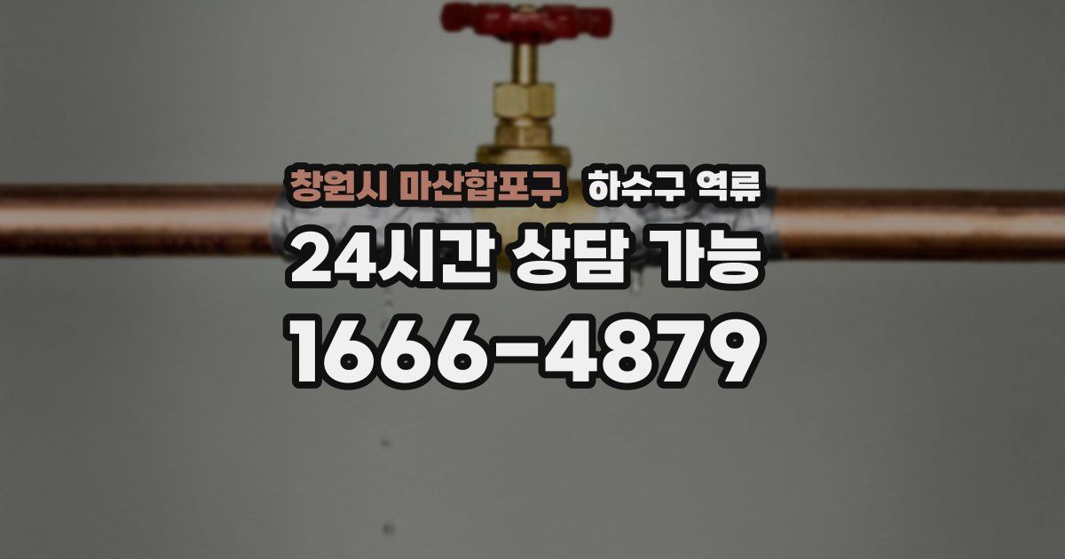 창원시 마산합포구 하수구 역류