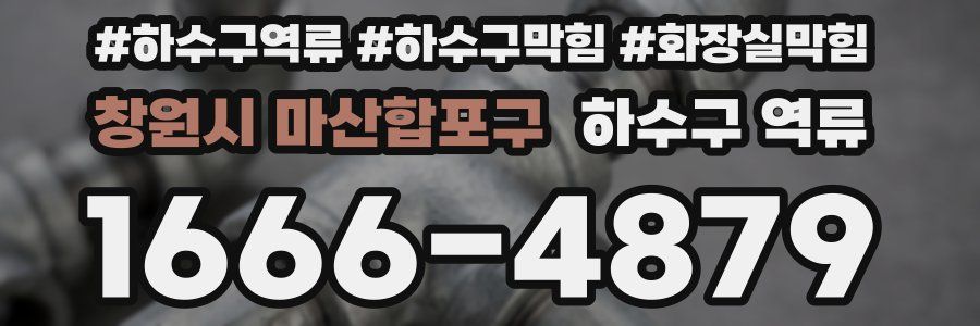 창원시 마산합포구 하수구 역류