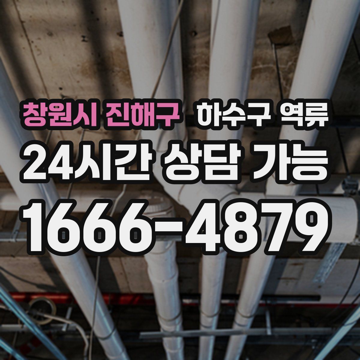 창원시 진해구 하수구 역류