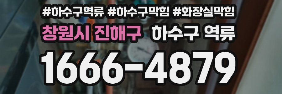 창원시 진해구 하수구 역류