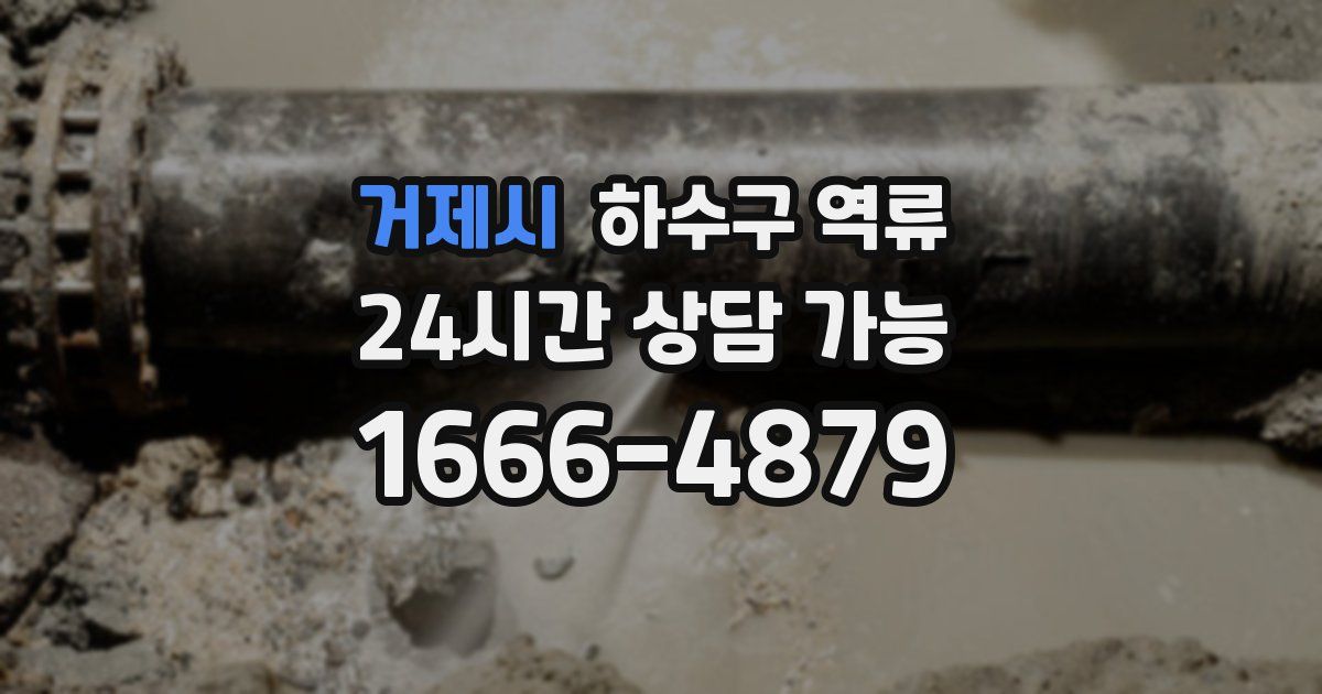 거제시 하수구 역류