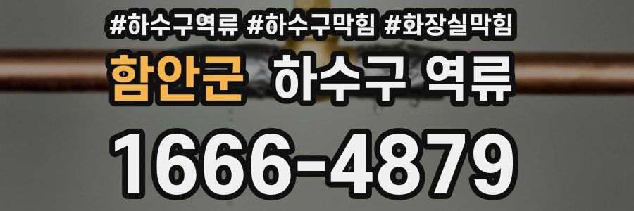 함안군 하수구 역류