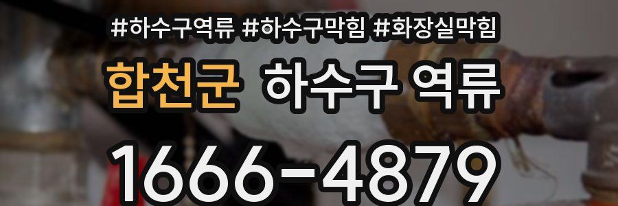 합천군 하수구 역류