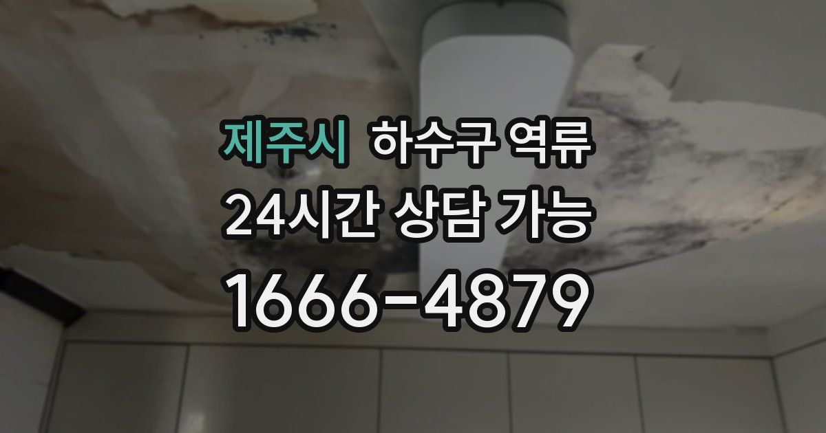 제주시 하수구 역류