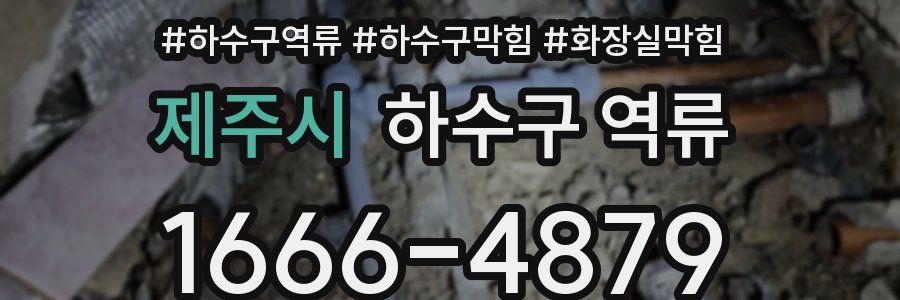 제주시 하수구 역류