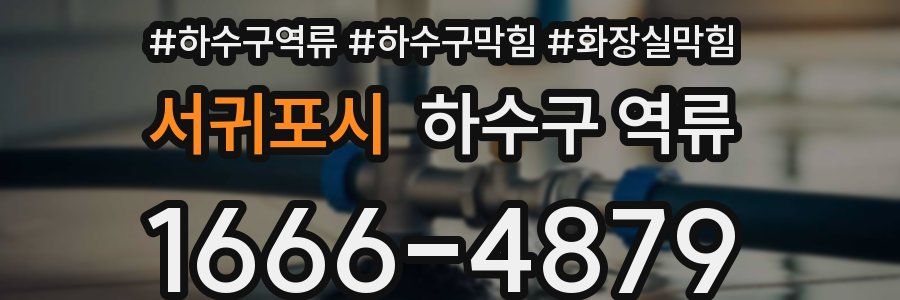 서귀포시 하수구 역류