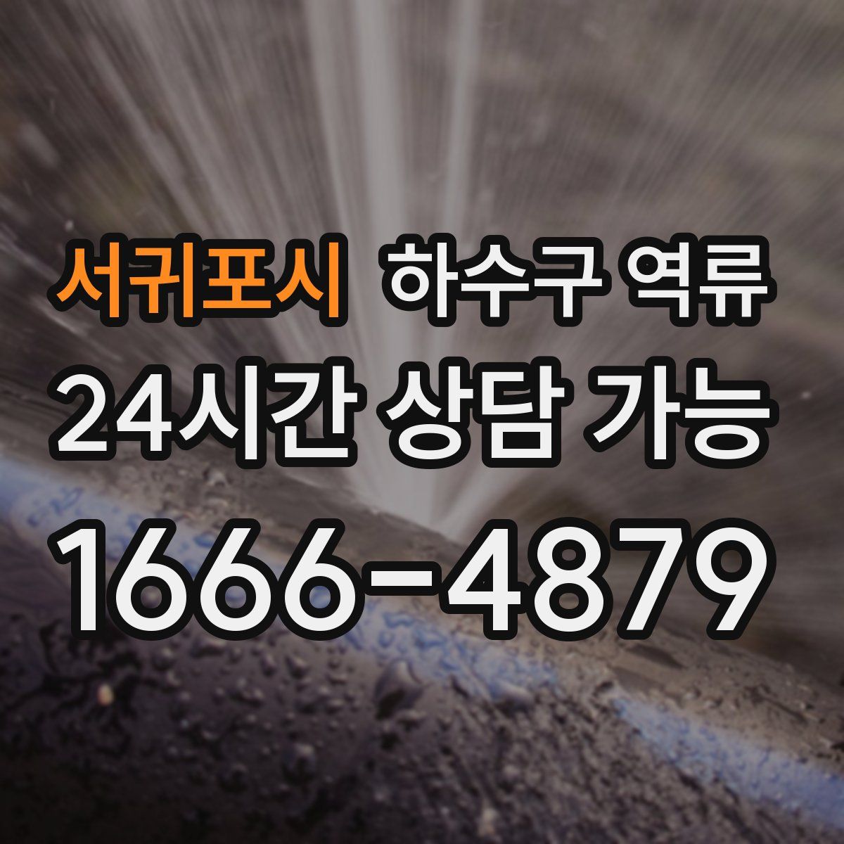 서귀포시 하수구 역류