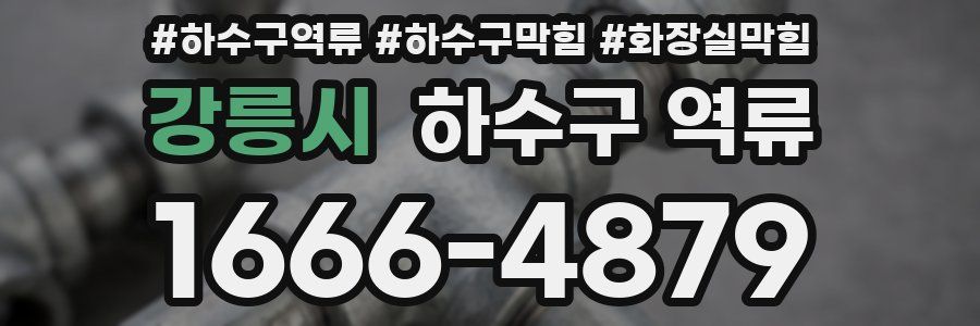 강릉시 하수구 역류