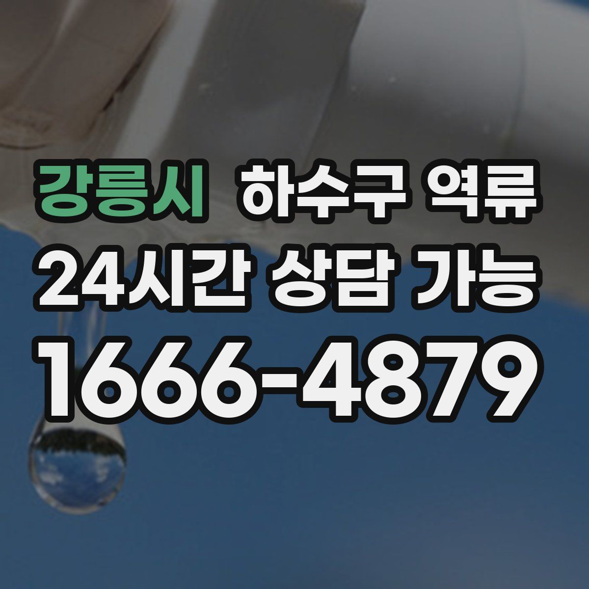 강릉시 하수구 역류