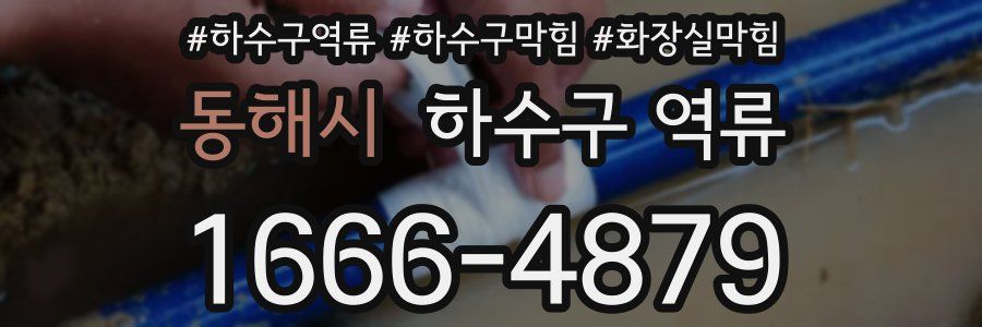 동해시 하수구 역류