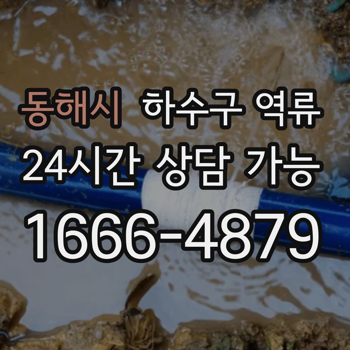 동해시 하수구 역류