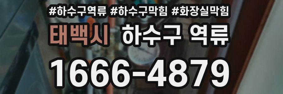 태백시 하수구 역류