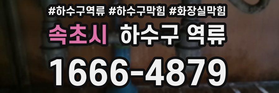 속초시 하수구 역류