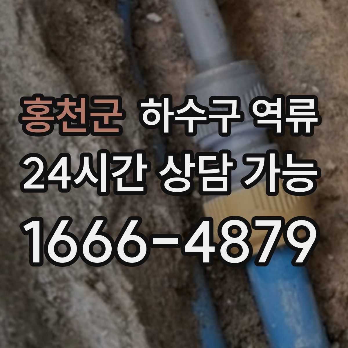 홍천군 하수구 역류