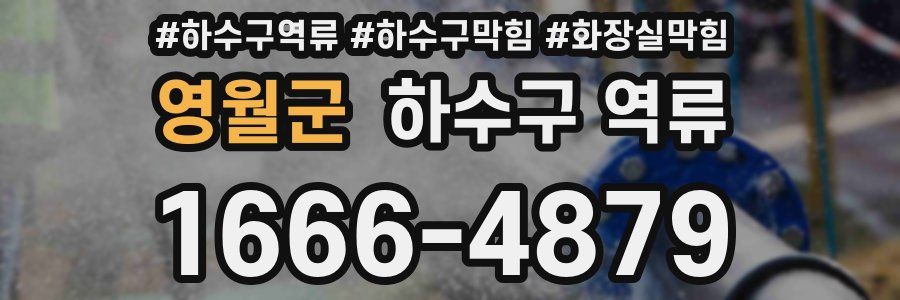 영월군 하수구 역류