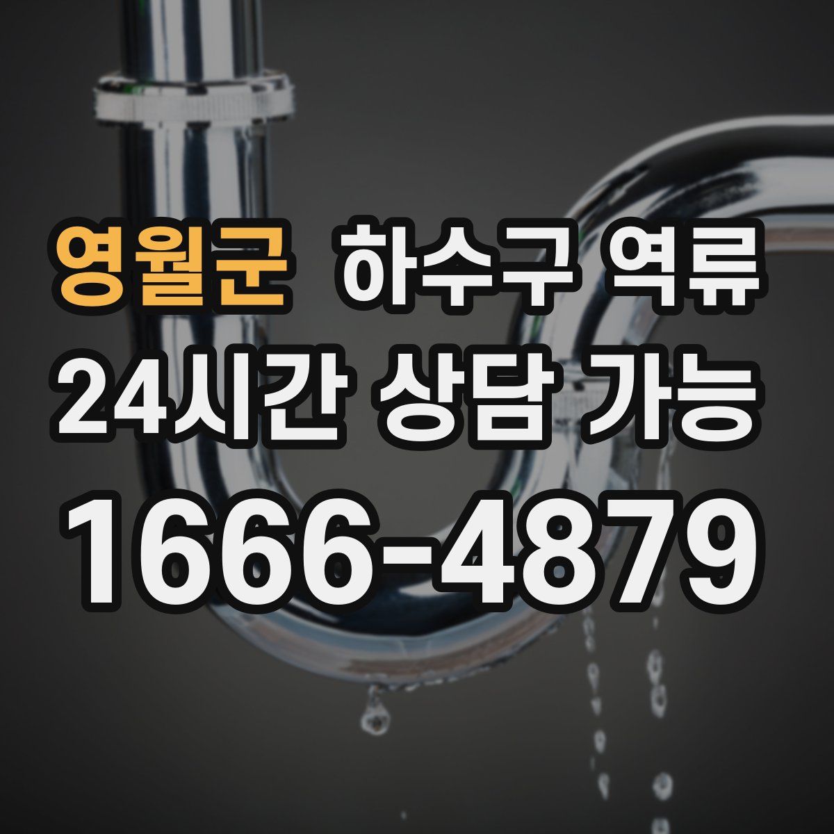 영월군 하수구 역류