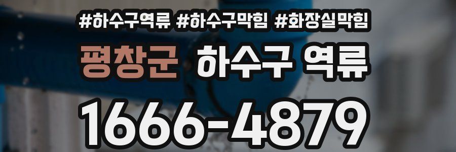 평창군 하수구 역류