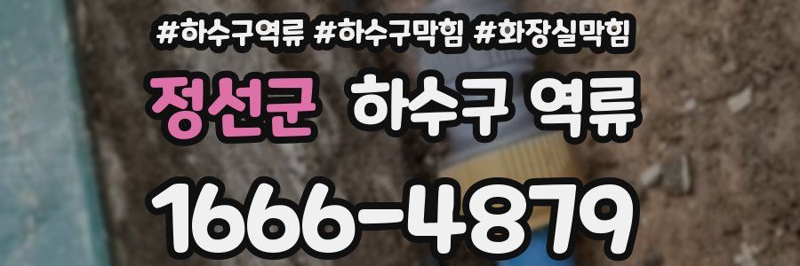 정선군 하수구 역류