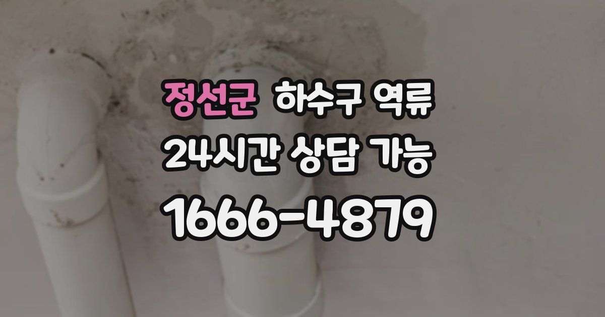 정선군 하수구 역류