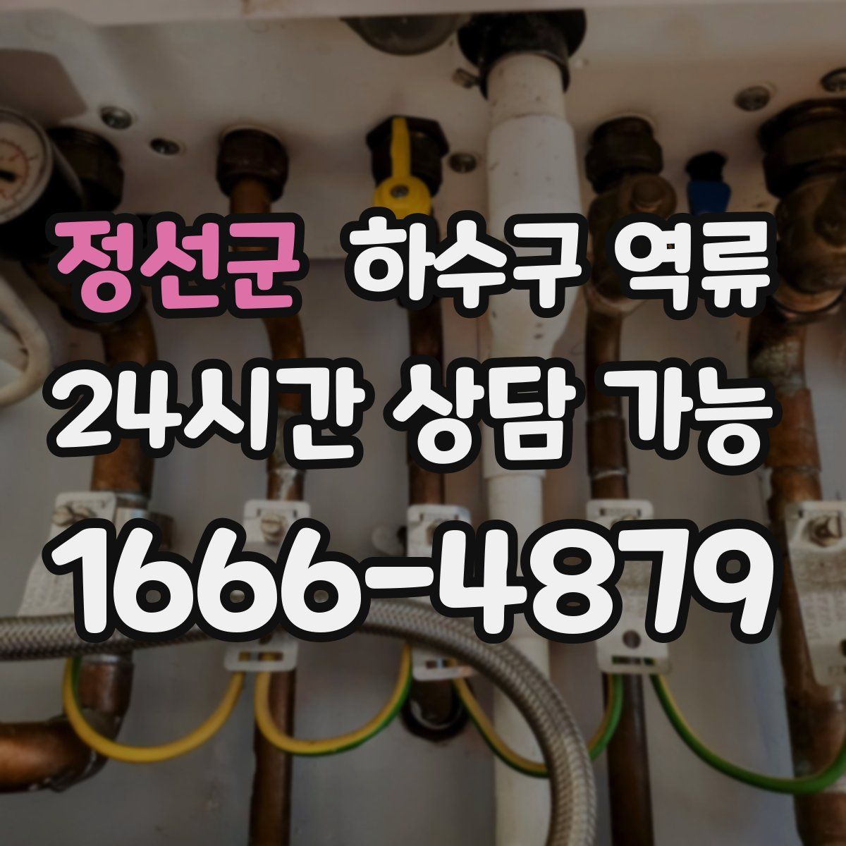 정선군 하수구 역류