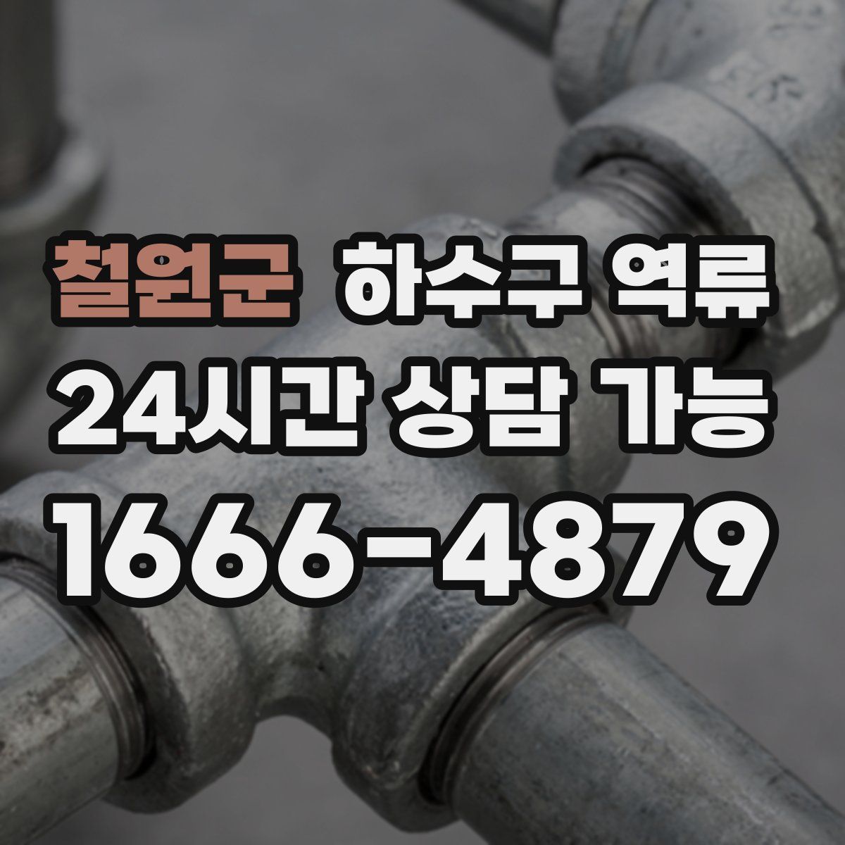 철원군 하수구 역류